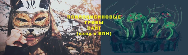 гашик Армянск