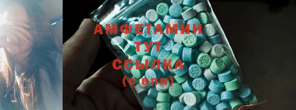 амф Алексин
