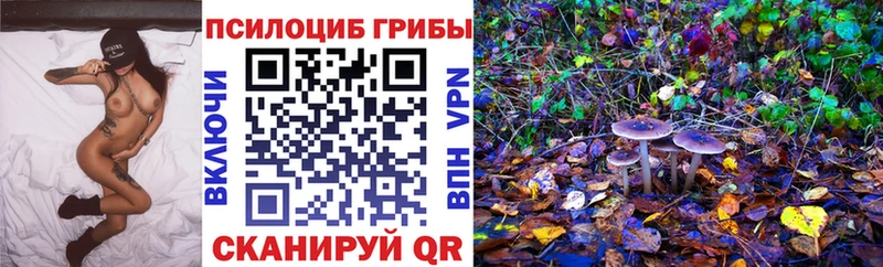 мориарти клад Сарапул Галлюциногенные грибы Magic Shrooms